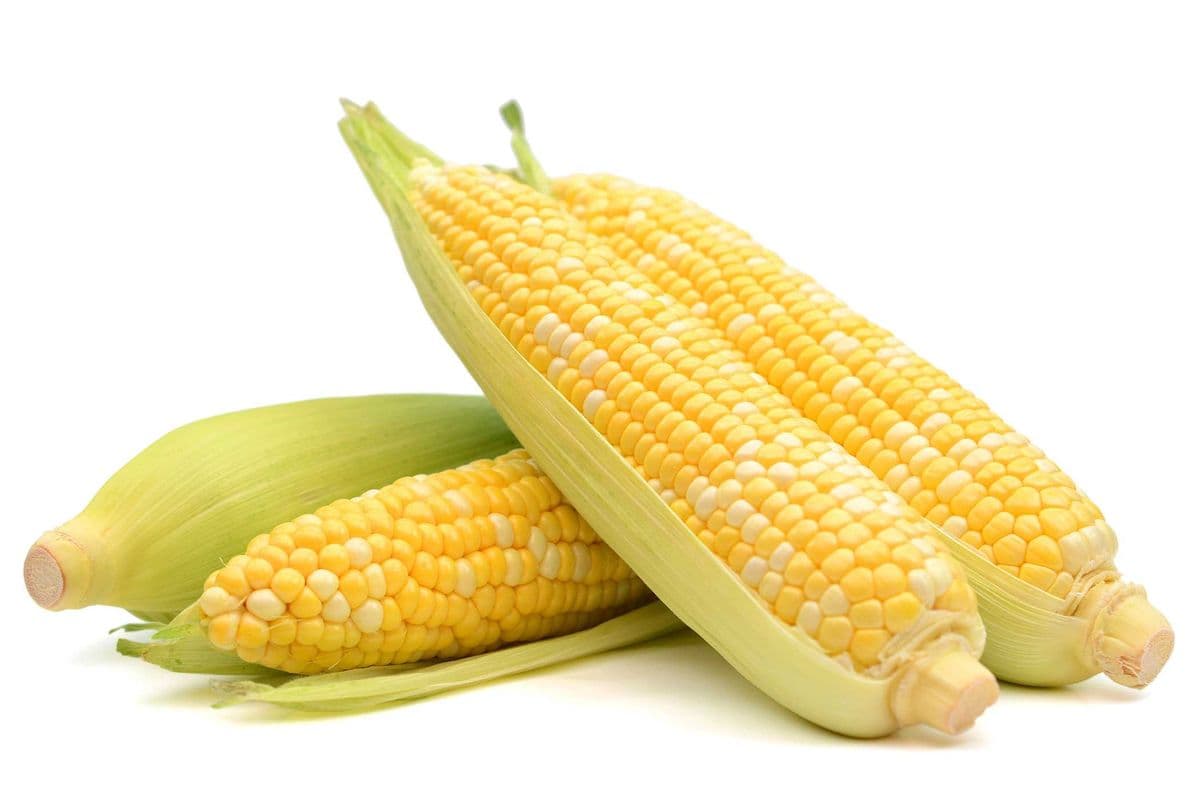 Corn (each)