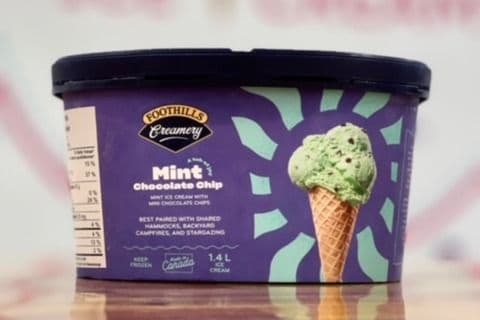Foothills Retail Tub - Mint Chocolate Chip (1.4 L)