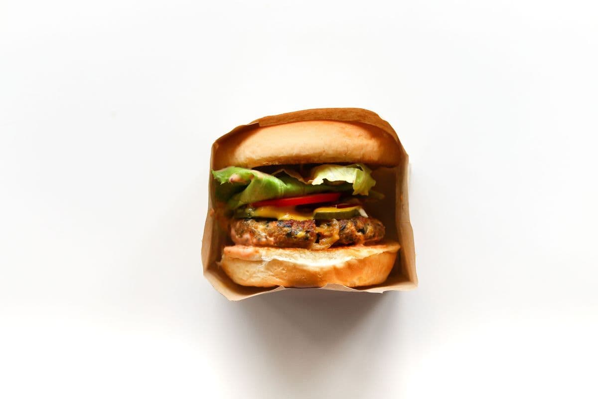 Burger with Cheeze