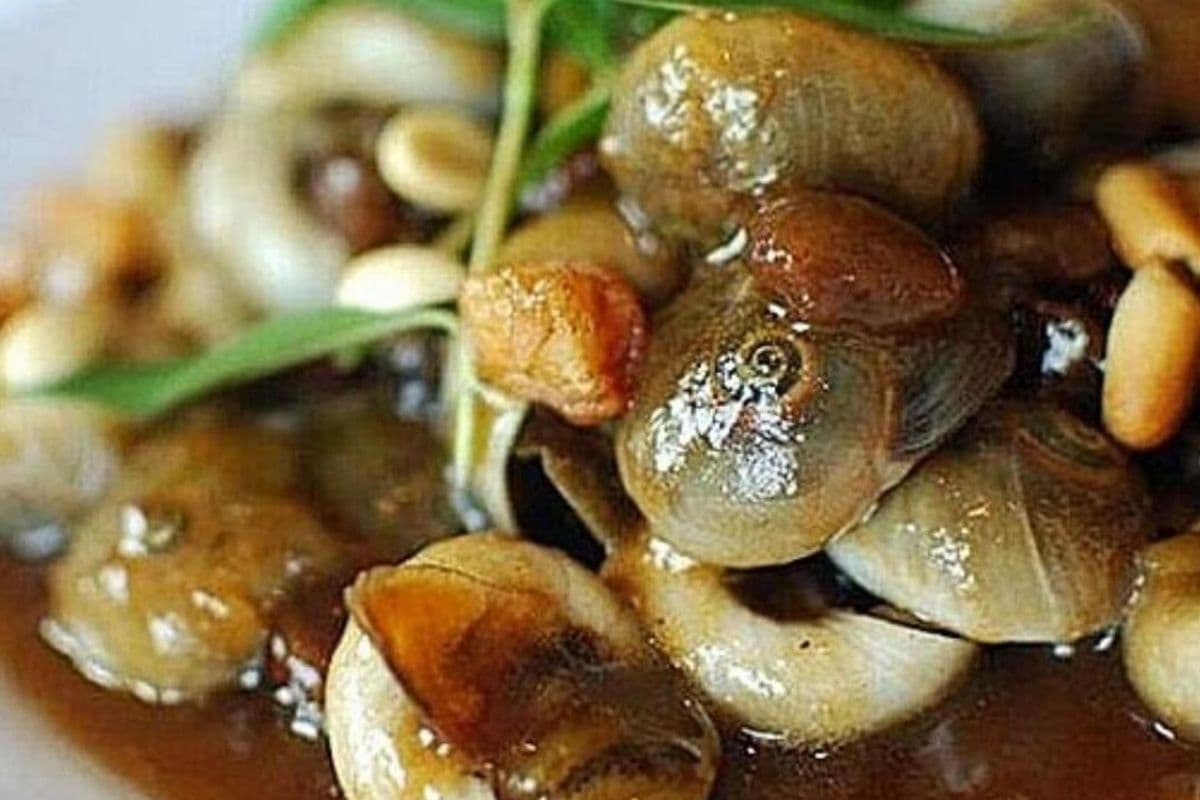 Tamarind Escargots / Oc Xao Me