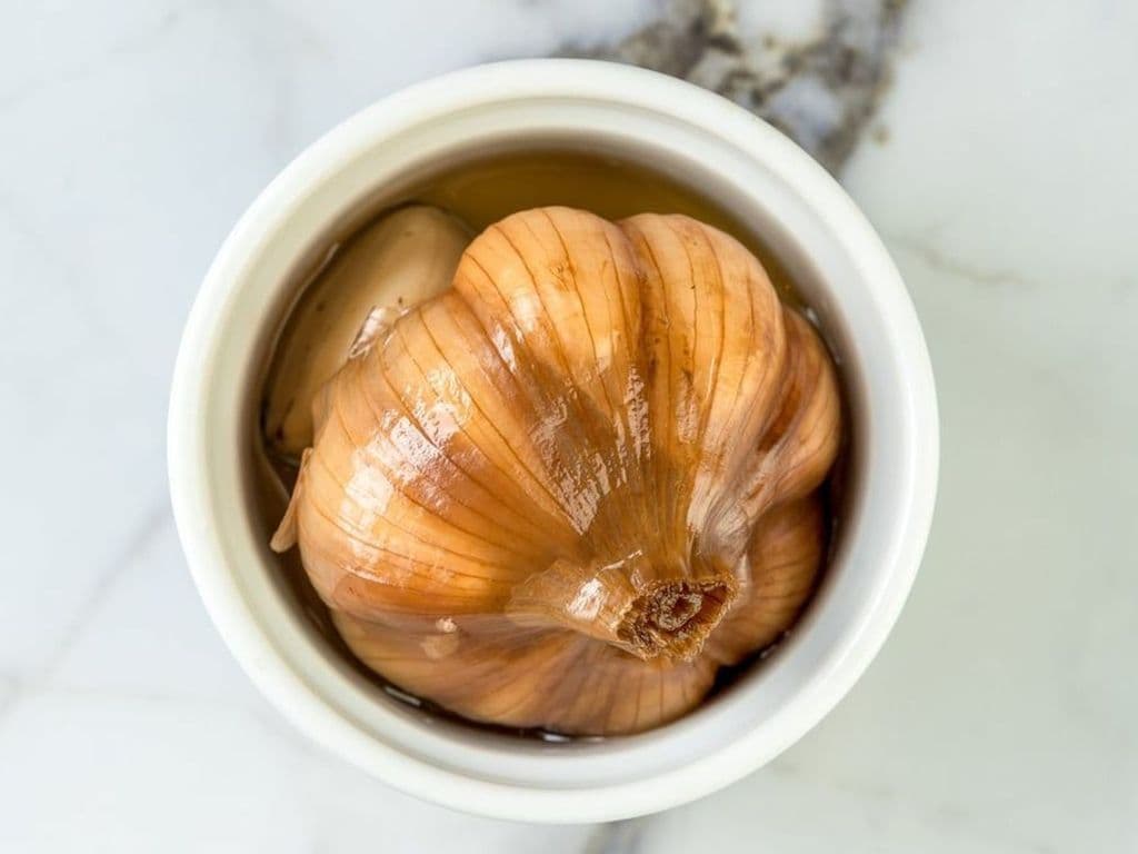 Sir Torshi