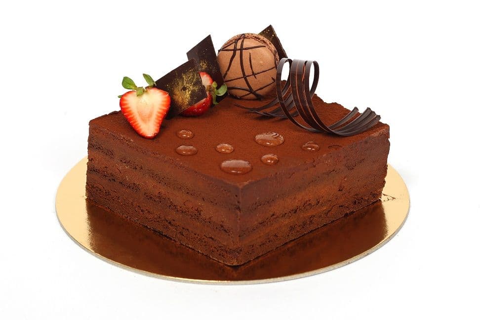 6" Chocolate Obsession