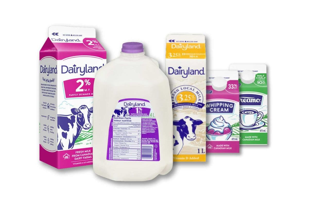 Dairyland Milks & Creams