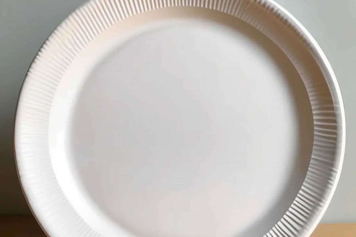 Paper Plate Big