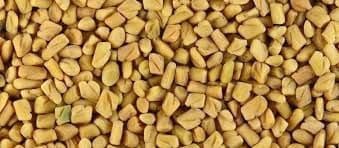 1000 Spices Fenu Greek Seeds (100 g)