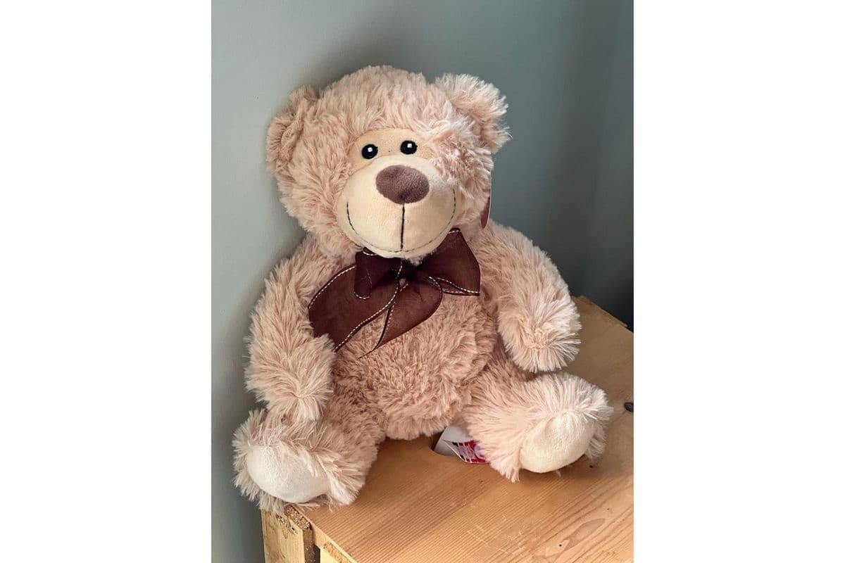 Medium Stuffed Animal