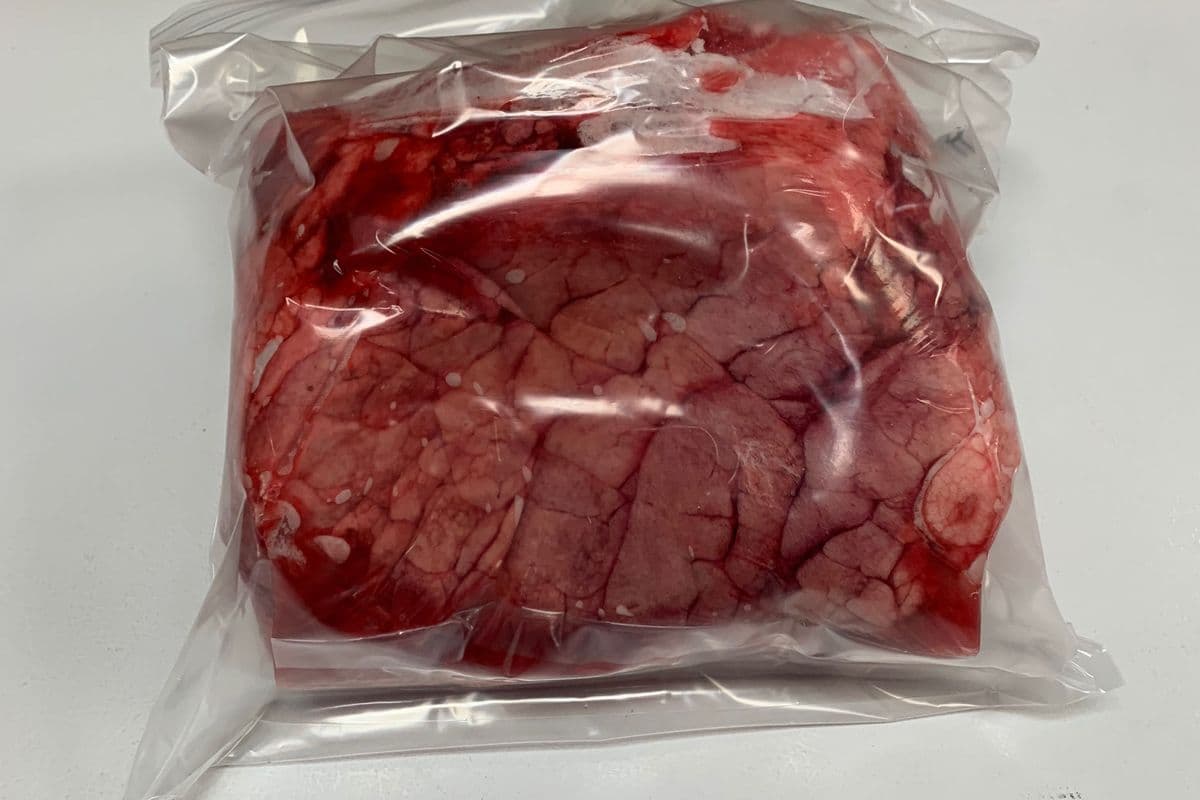 Pork lungs approx 1K