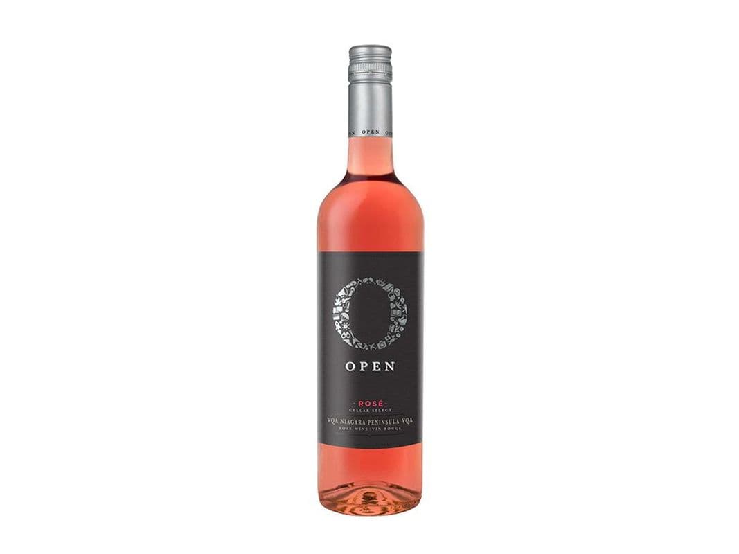 Open Rose