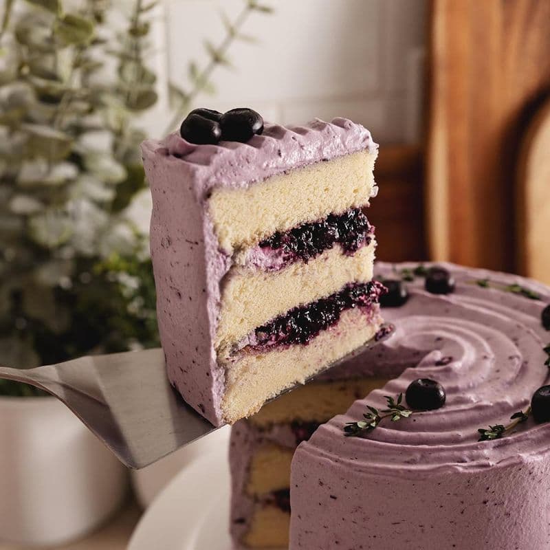 Blueberry Vanilla Cake (V)