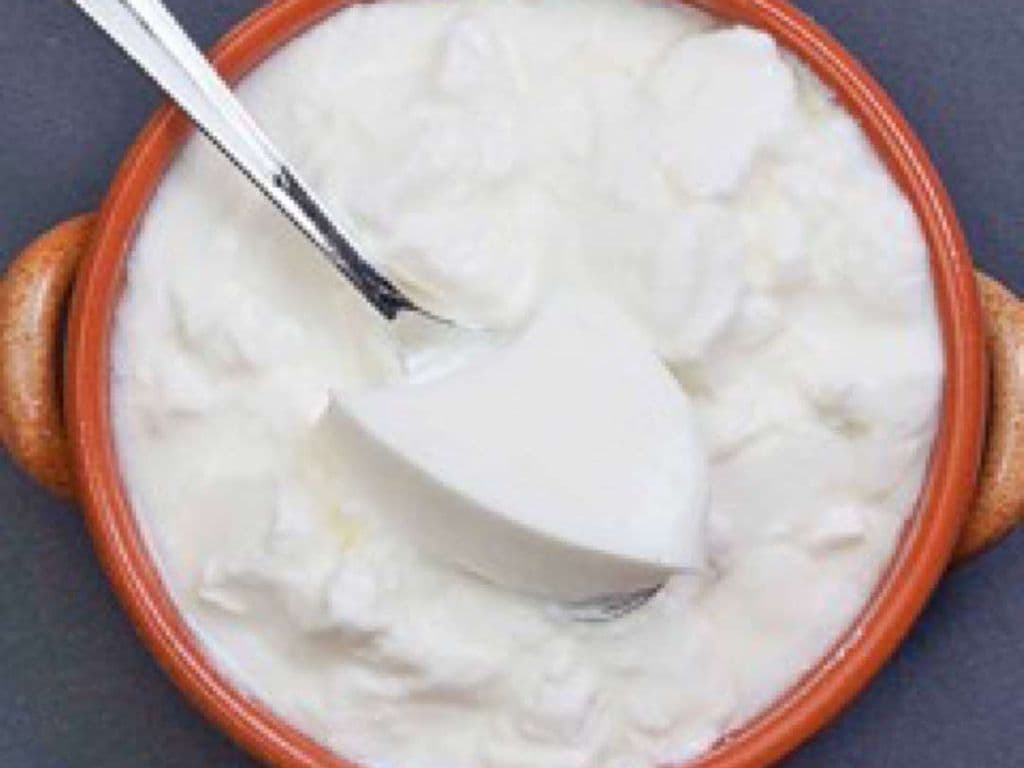 Dahi (Yogurt) Small
