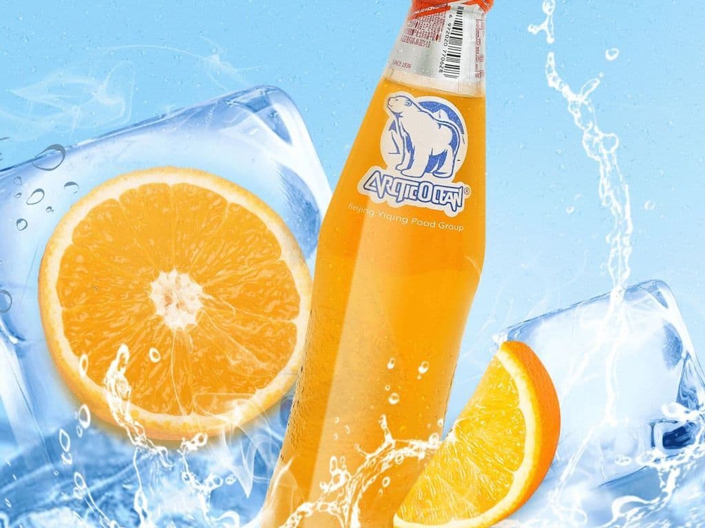Arctic Ocean Orange Juice Soda (248ml)