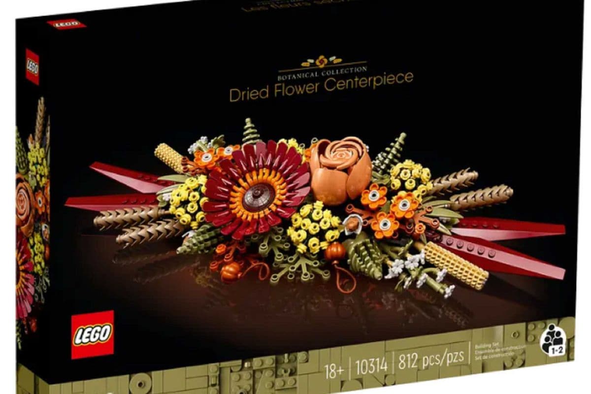 Dried Flower Centerpiece (Lego)