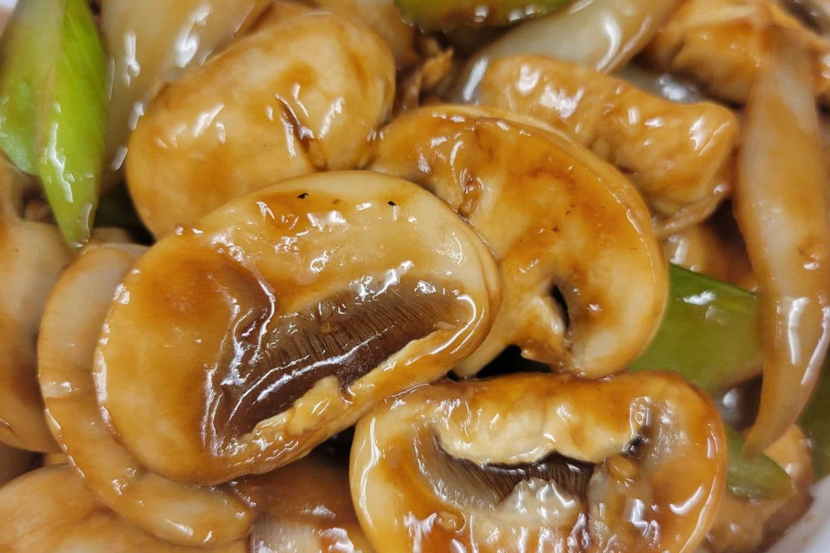 Poulet aux champignons / Mushroom Chicken