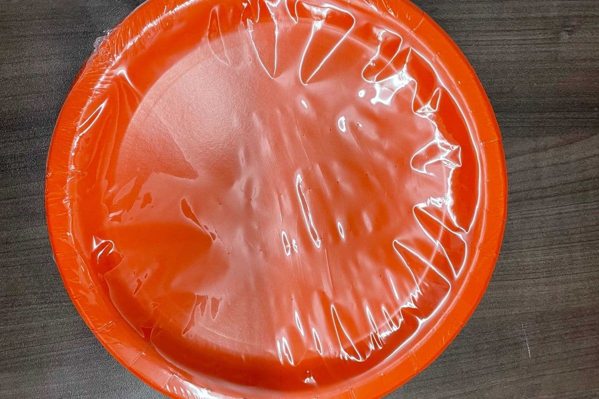 8 Pumpkin Orange 9" Plates (8 Pack)