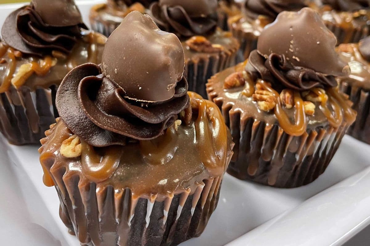 Turtle Cupcake