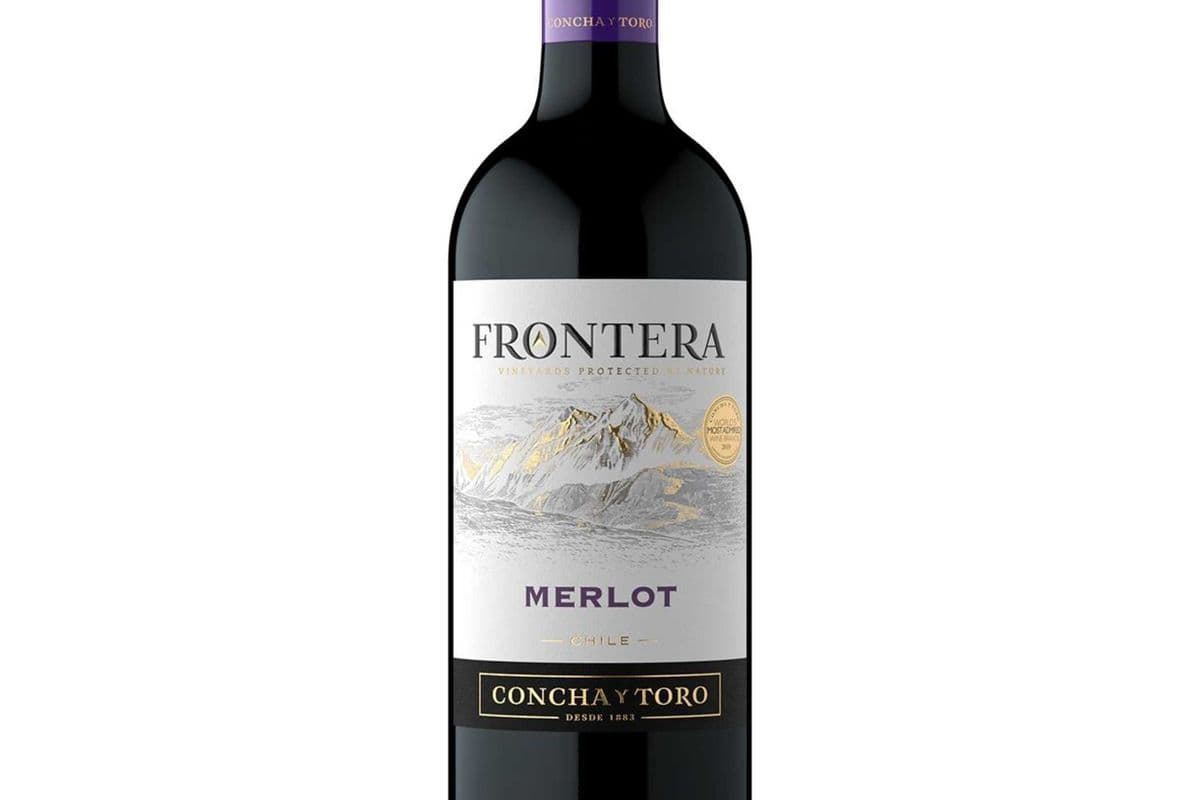 Frontera Merlot (1 x 750 ml)