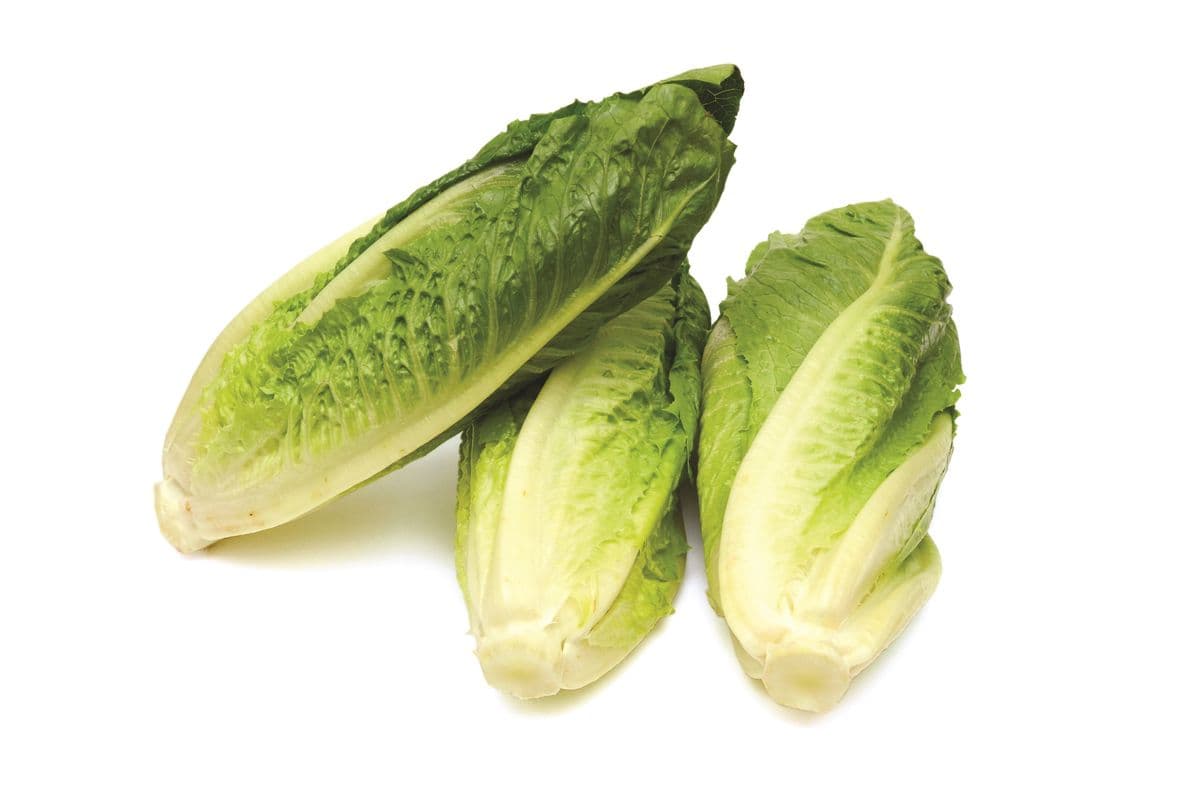 Romaine Hearts (3 Pack)
