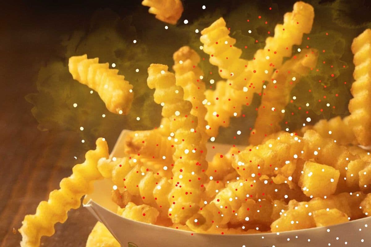Shake Shake Fries