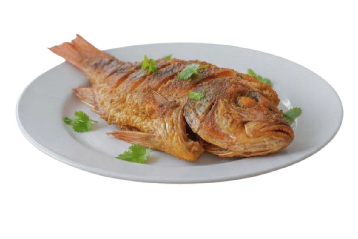 Tilapia Fry