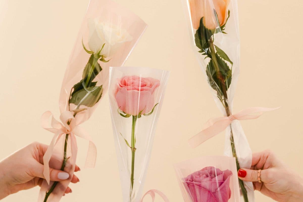 Single Rose