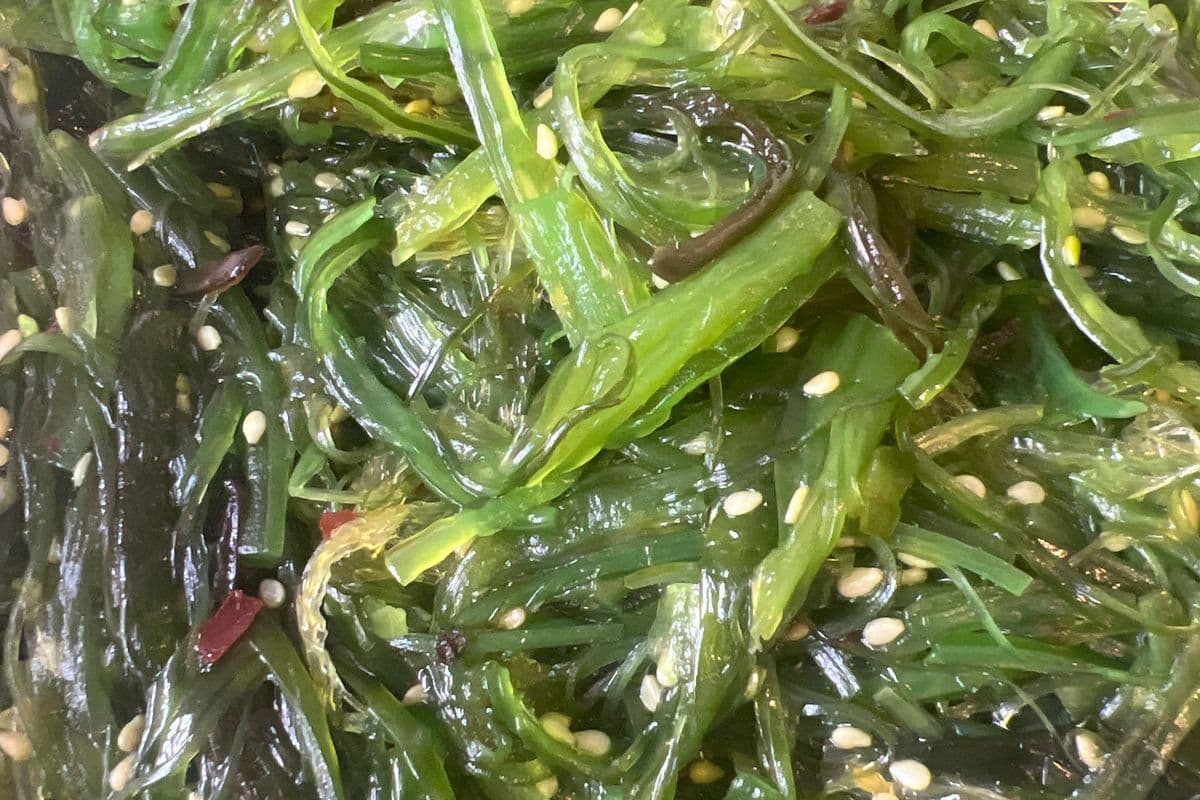 15. Salade d’algues