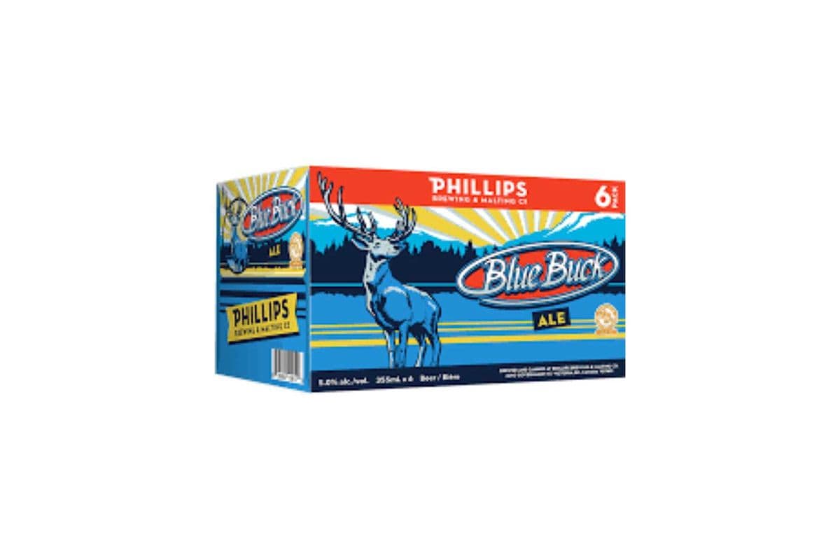Phillips Blue Buck (6 x 355 ml Cans)