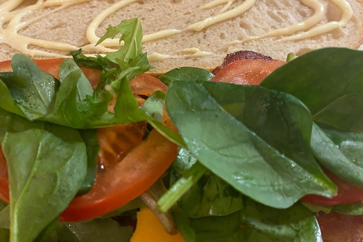 Roasted Chicken Breast Sandwich