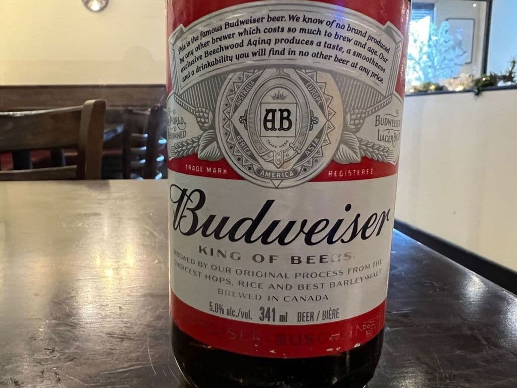 Budweiser (1 x 341 ml Bottle)