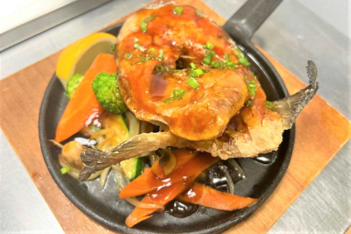 Hamachi collar