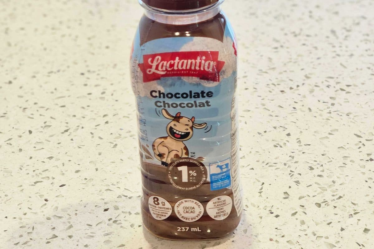 Chocolate Milk