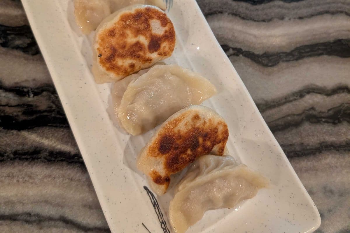 Pan-Fried Pork Dumpling - 煎豬肉鍋貼