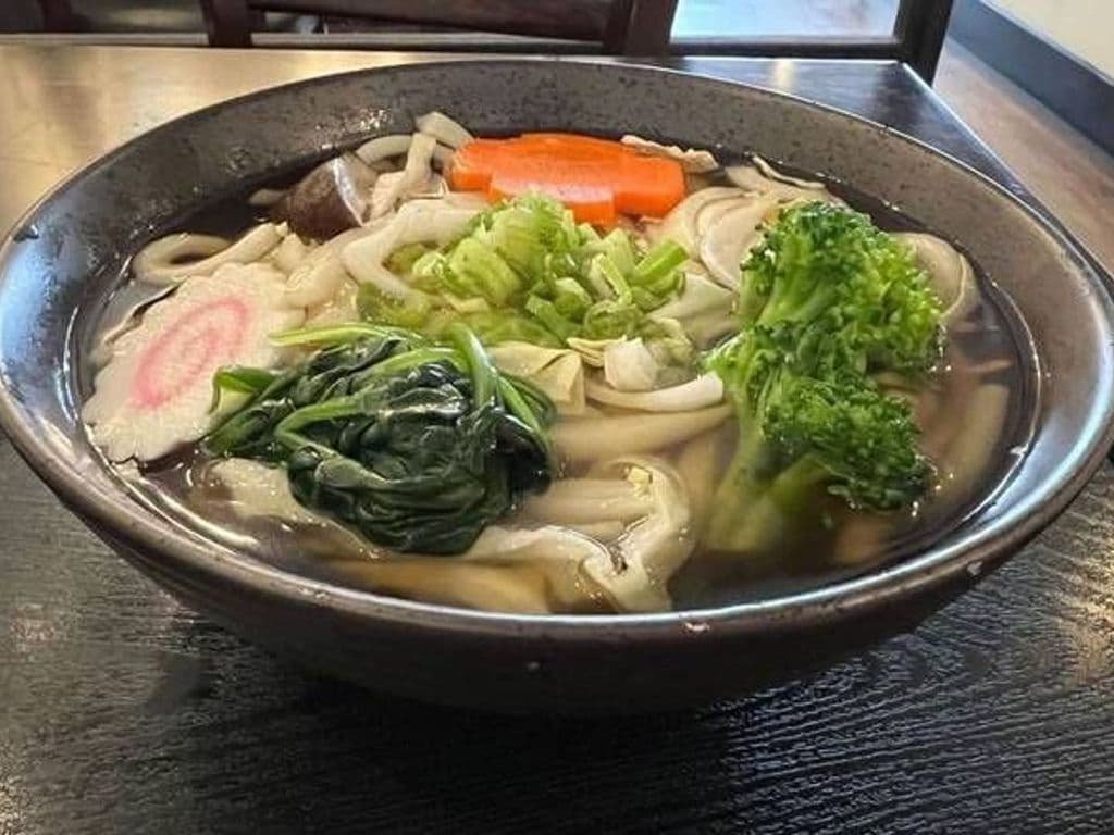 Vegetable Udon