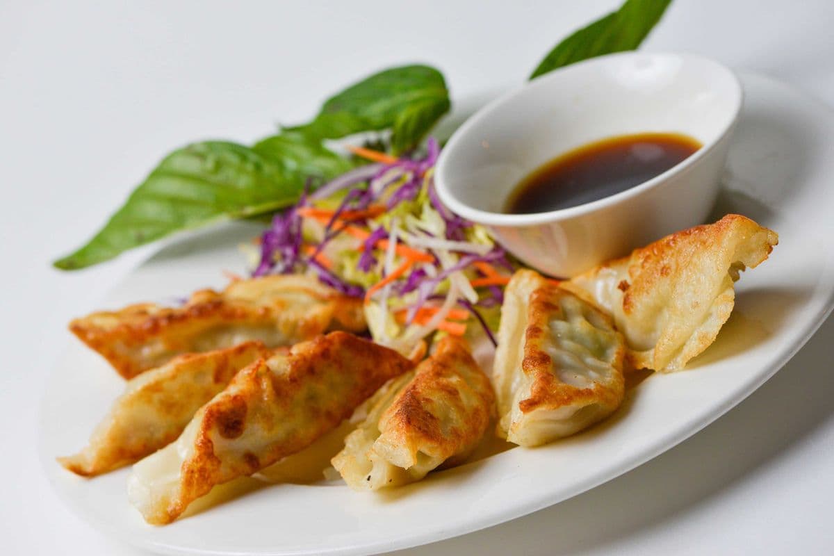 7B. Deep Fried Pork Dumplings