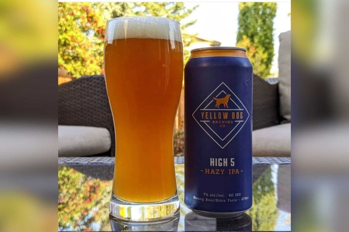 Yellow Dog Hazy IPA (4 Cans) (4 x 473ml)