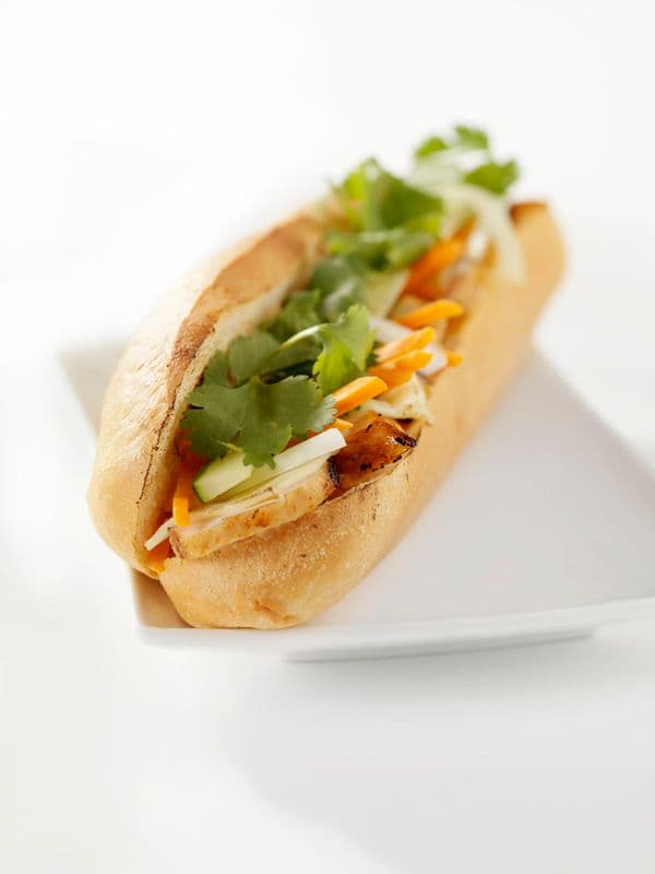 Mega Sub