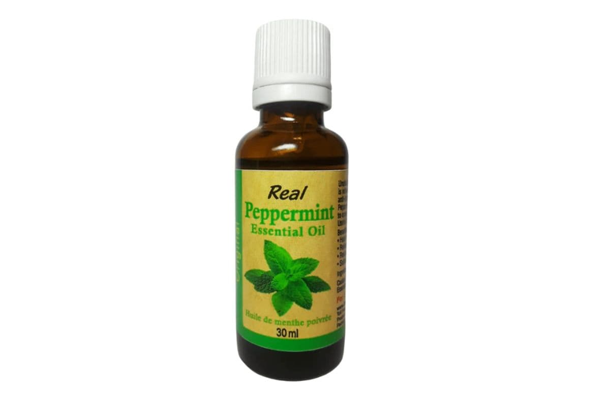Real Peppermint Essence Oil (30 g)