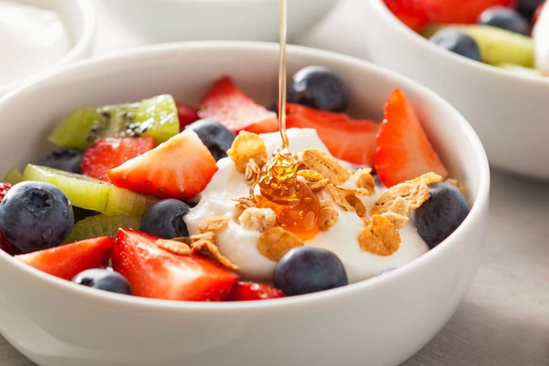 Yogourt classique / Classic Yogurt