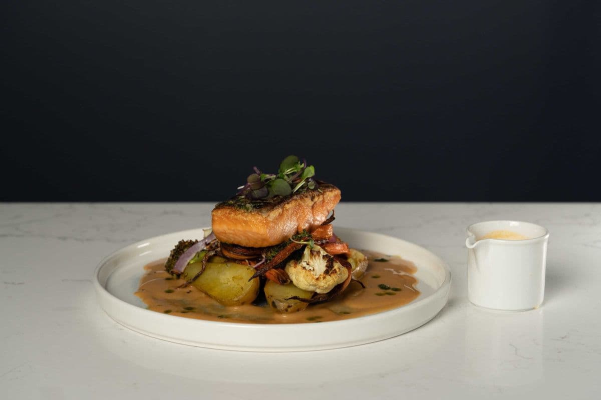 Steelhead Salmon