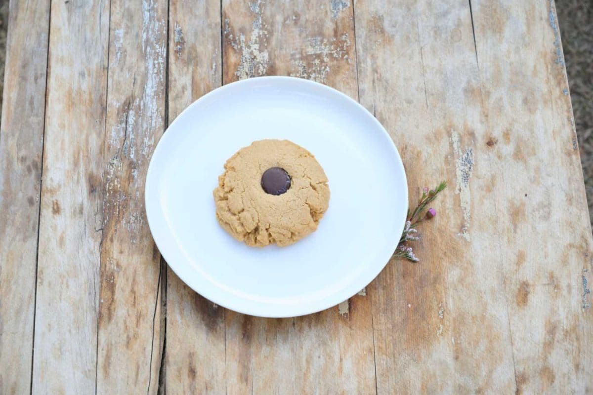 Peanut Butter Cookie