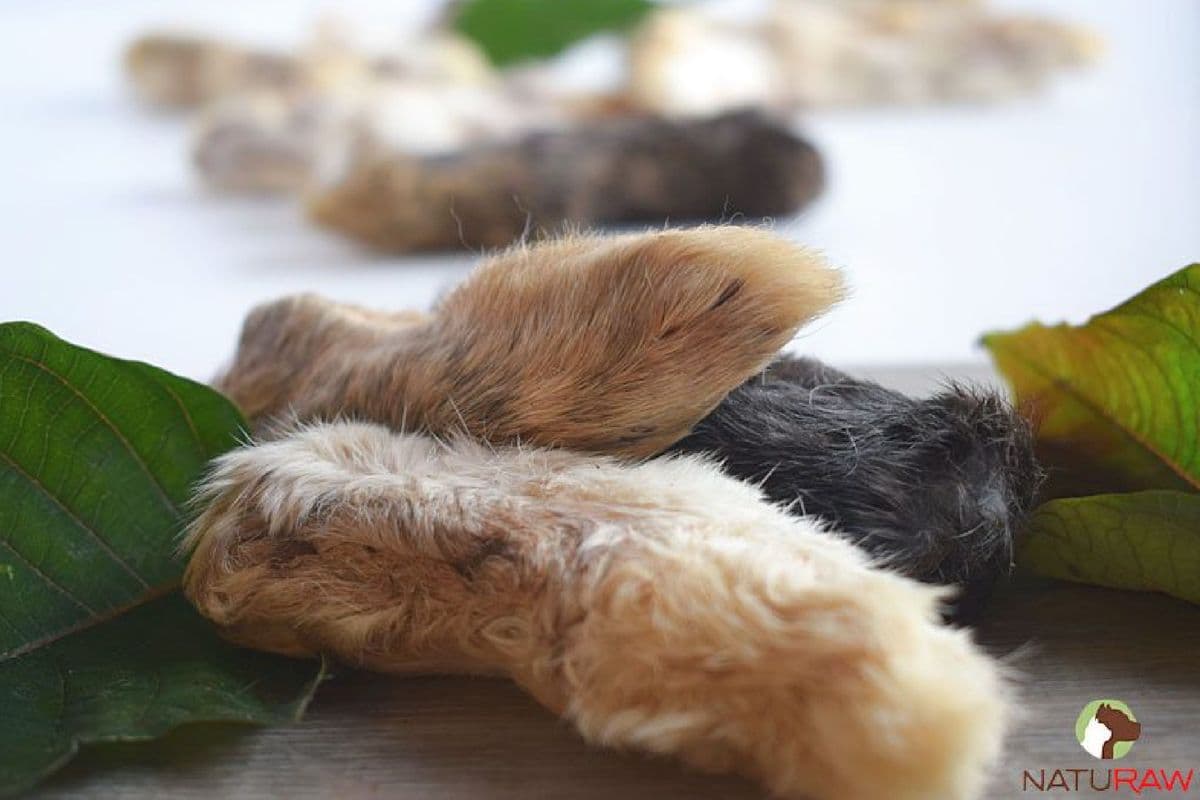 Dehydrated Rabbit Feet