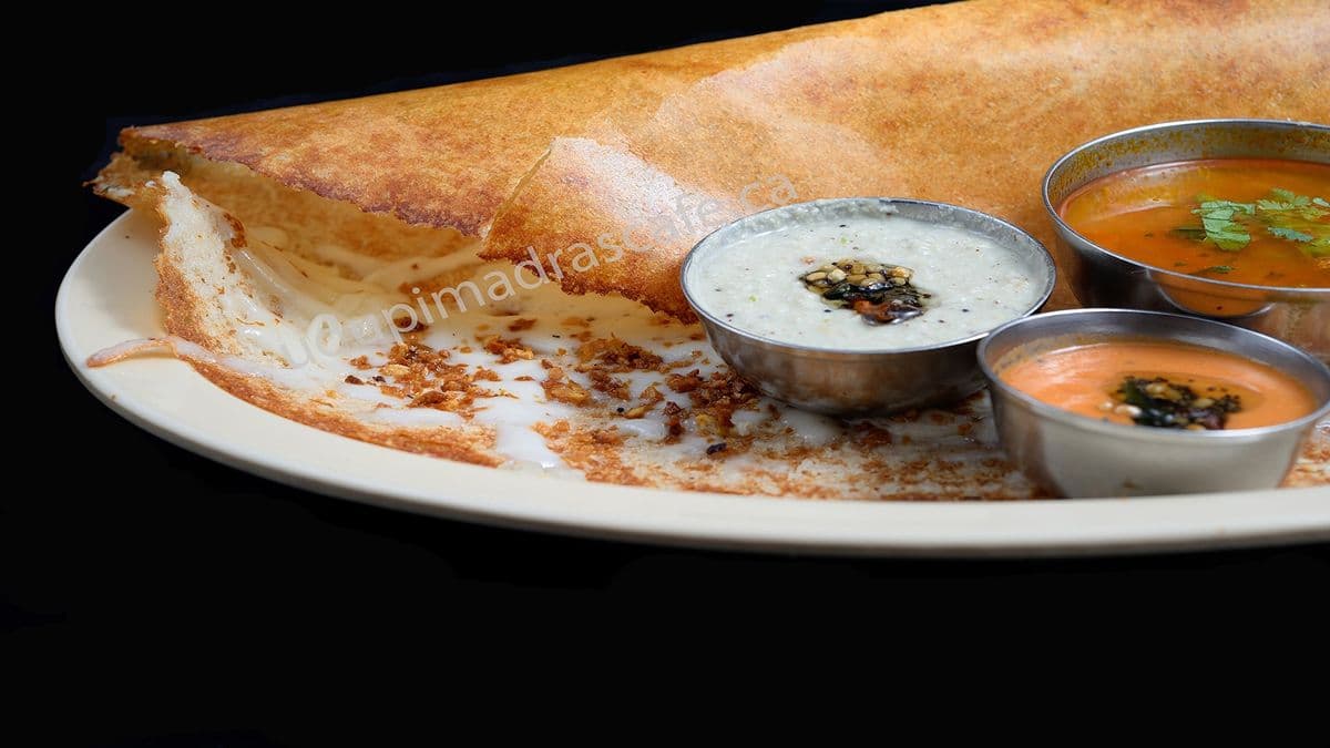 Cheese Garlic Dosa (Signature)