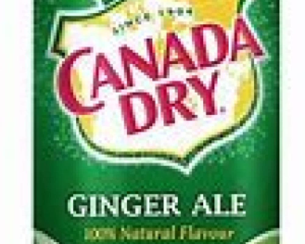 Ginger Ale (355ML)