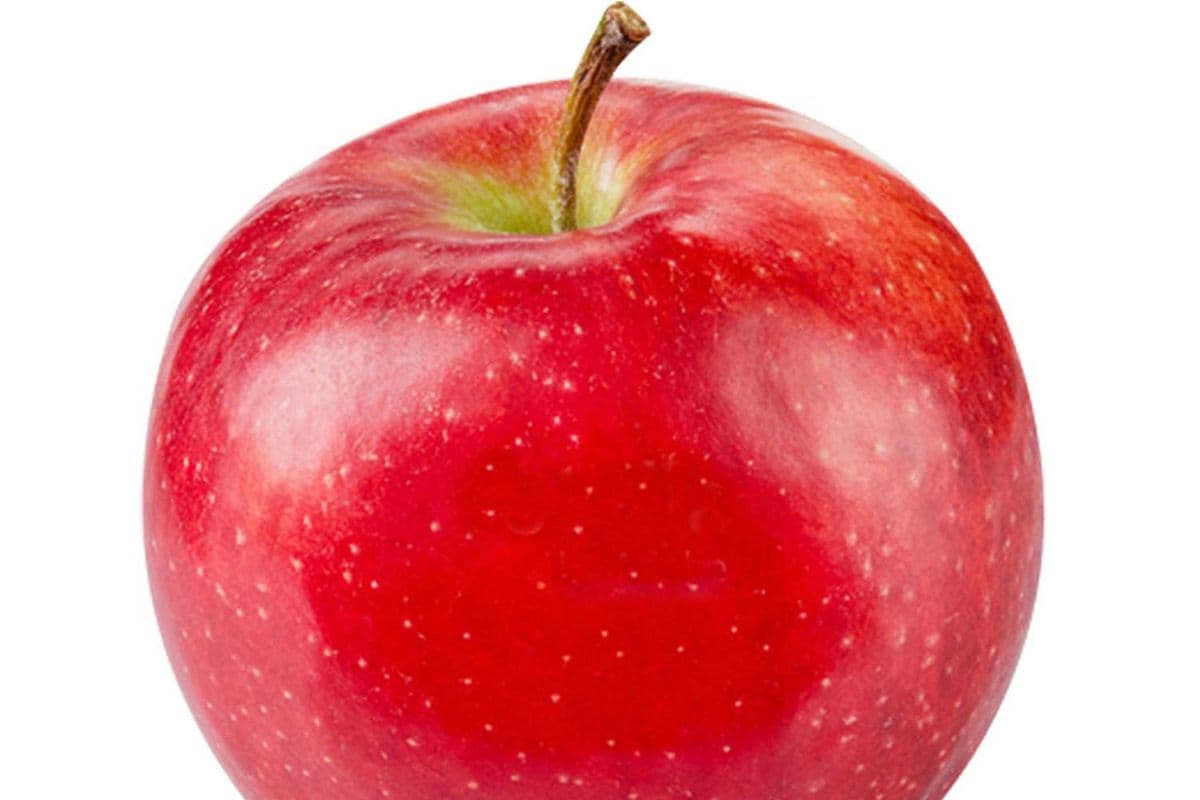 Pommes gala (kg) / Apple Gala (kg)