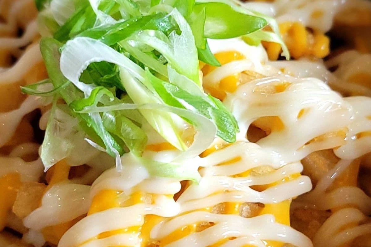RO loaded Fries