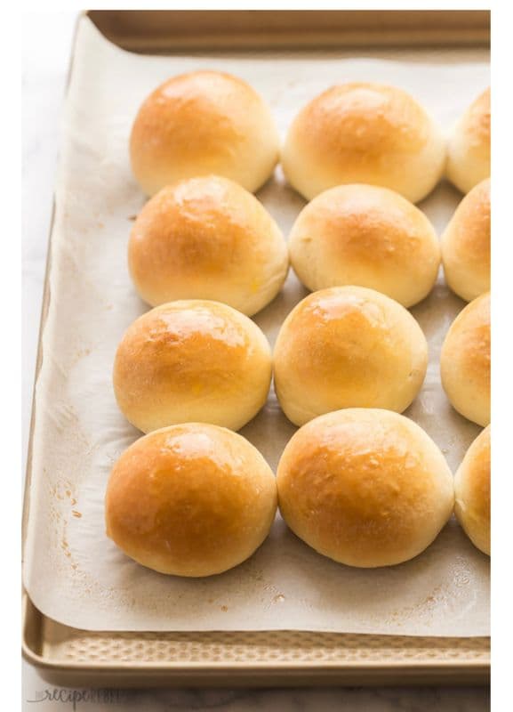 Dinner buns