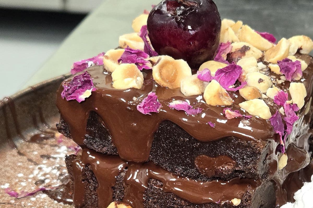 Bold and Beautiful Brownie