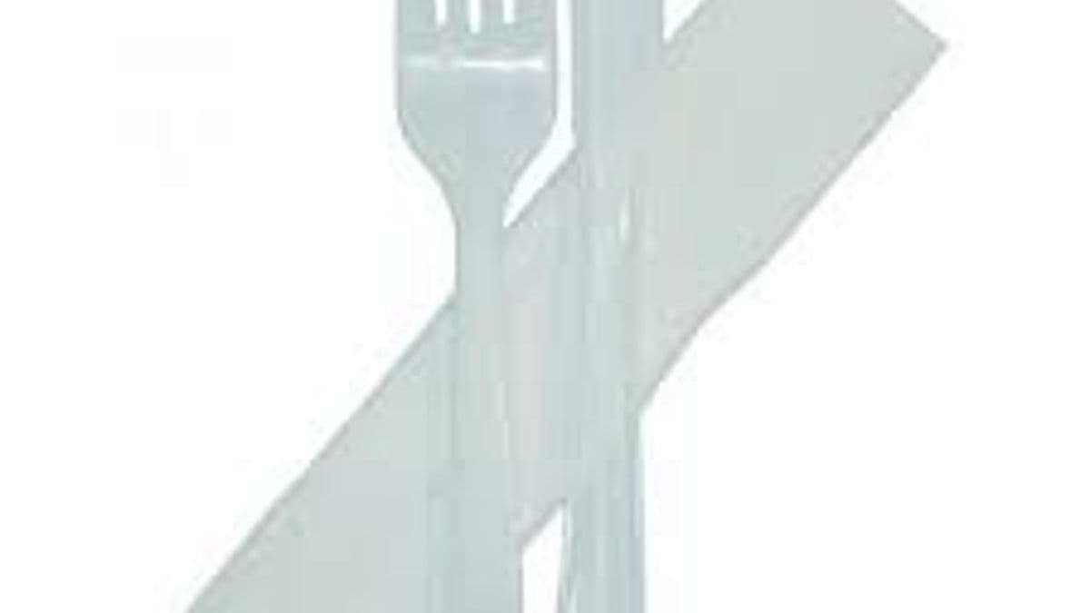 Cutlery (per person)