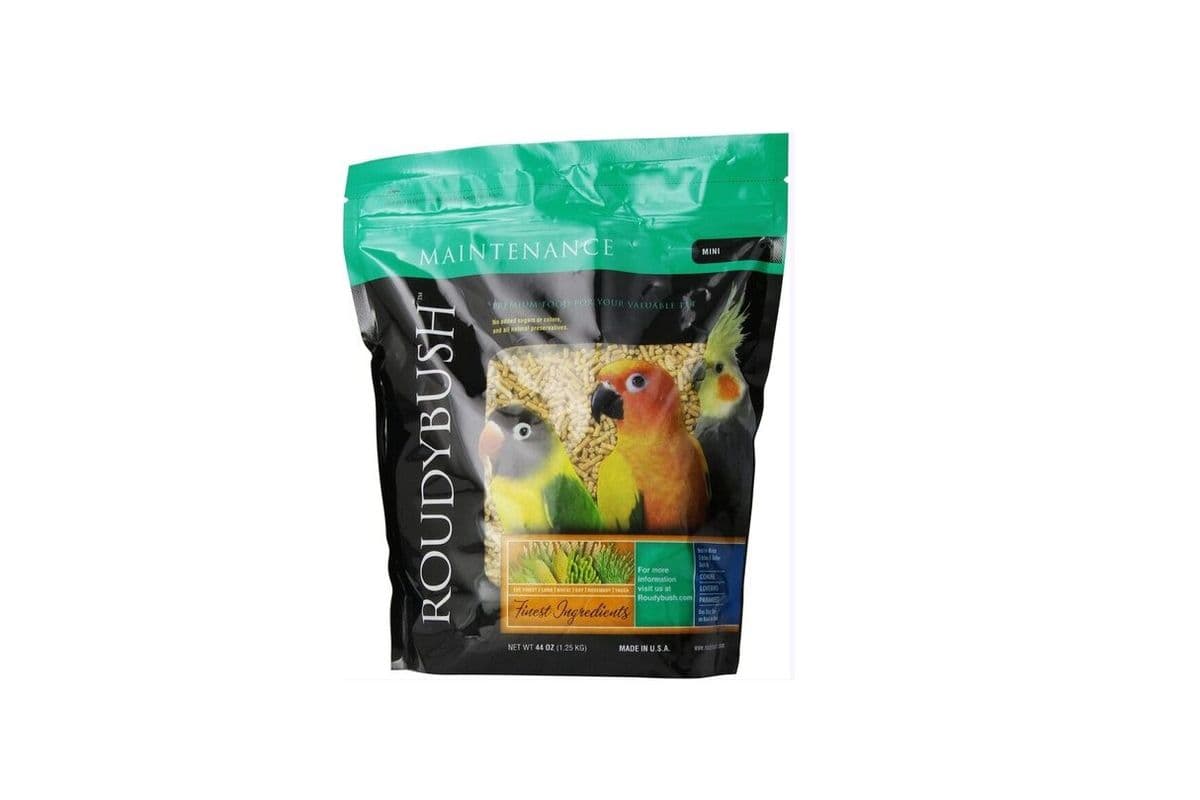 RoudyBush Mini (22 oz)