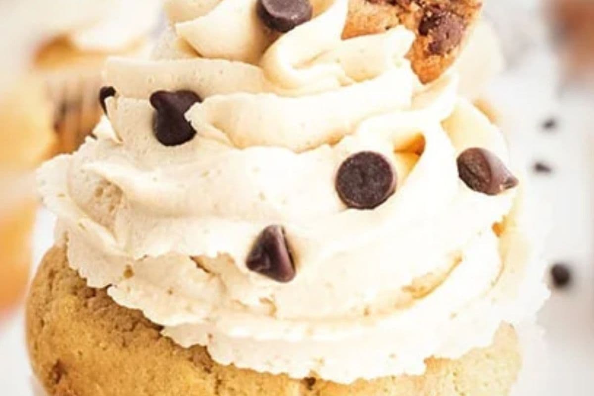 Chocolate Chip Cupcake