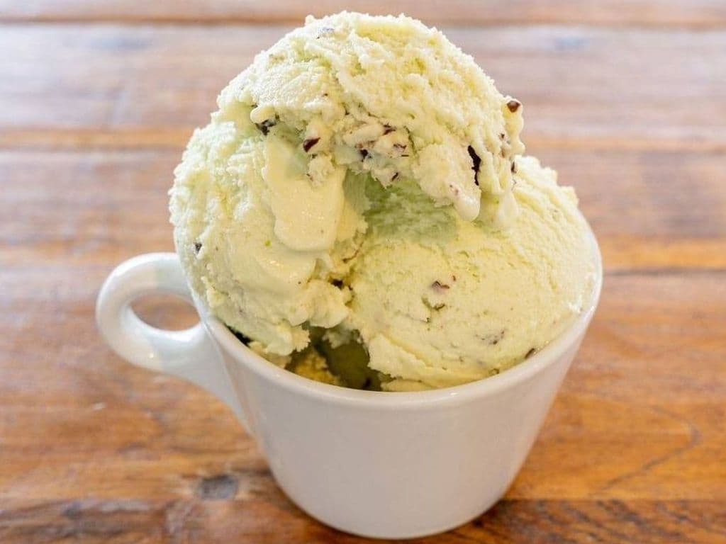 Mint Chocolate Chip Gelato Pint